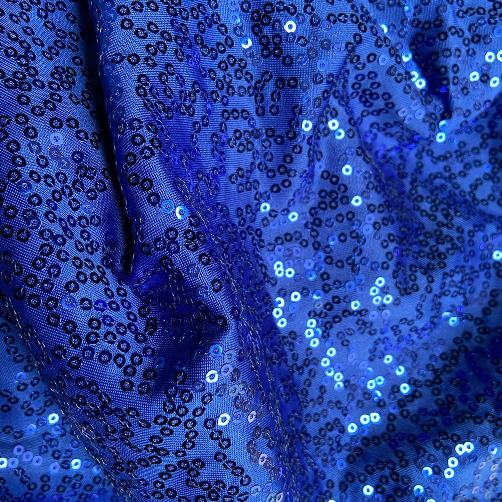 Spandex with sequins gentle 2 way stretch.